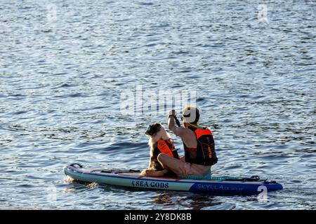 Una persona e un cane che indossano giubbotti salvagente paddleboard su un lago calmo. Foto Stock