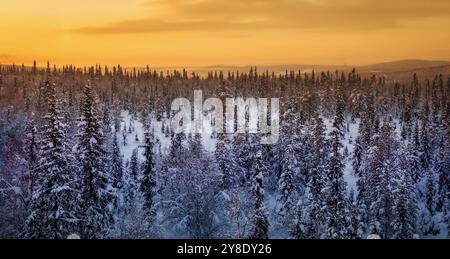 Alba invernale sopra la foresta. Alba ghiacciata su un paesaggio innevato. Foto Stock