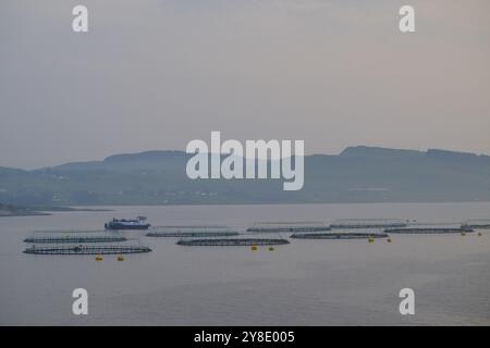 Allevamento di pesci di mare tranquillo, allevamento di salmoni, Bergen, Mare del Nord, Norvegia, Europa Foto Stock
