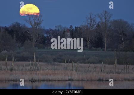 Una luna piena appare su un altopiano nebbioso con alberi visibili all'orizzonte, vista sull'anello Randow del fiume Peene alla luce della luna serale Foto Stock