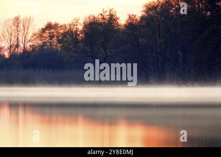 Colori caldi all'alba su un paesaggio nebbioso e tranquillo con alberi, atmosfera nebbiosa sull'acqua al tramonto sul fiume Peene, Naturpark Flusslandsch Foto Stock