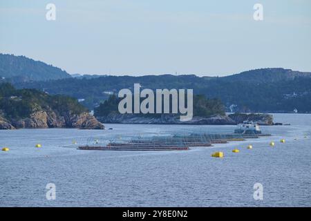 Un allevamento ittico, un allevamento di salmoni con boe nel mare, circondato da isole boscose, Bergen, Mare del Nord, Norvegia, Europa Foto Stock