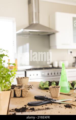 Primo piano di vasi da fiori, flacone spray, sporcizia, vassoi per piantine e forbici sul tavolo di casa Foto Stock