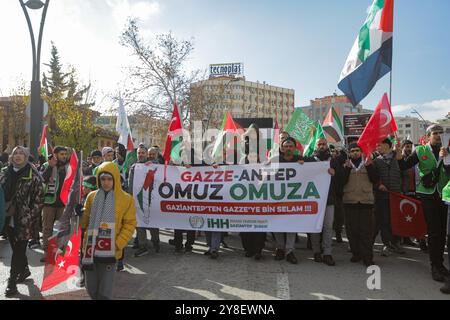 Gaziantep, Turkiye. 23 dicembre 2023. Decine di manifestanti si riuniscono nella città turca meridionale di Gaziantep per chiedere la libertà della Palestina. I partecipanti hanno alzato la bandiera palestinese accanto a quella turca in solidarietà con i palestinesi, mostrando anche striscioni che chiedevano la fine dell'operazione militare israeliana a Gaza e la protezione dei medici palestinesi nell'enclave palestinese assediata. La manifestazione è stata organizzata dalla IHH Humanitarian Relief Foundation Foto Stock