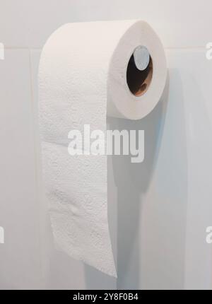 Un rotolo di carta igienica bianca appeso su un supporto in metallo spazzolato in un bagno moderno Foto Stock