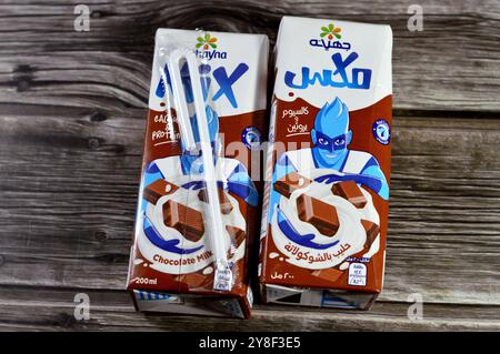 Cairo, Egitto, 14 settembre 2024: Juhayna Chocolate Flavor Milk, un tipo di latte aromatizzato ottenuto mescolando i solidi di cacao con il latte, bere miscele di cacao po Foto Stock