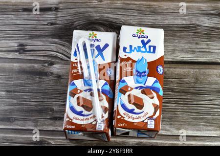 Cairo, Egitto, 14 settembre 2024: Juhayna Chocolate Flavor Milk, un tipo di latte aromatizzato ottenuto mescolando i solidi di cacao con il latte, bere miscele di cacao po Foto Stock