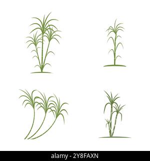 Tipo simbolo vettoriale modello logo canna da zucchero Illustrazione Vettoriale