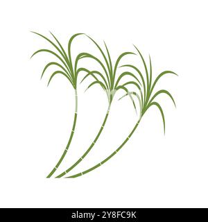 Tipo simbolo vettoriale modello logo canna da zucchero Illustrazione Vettoriale