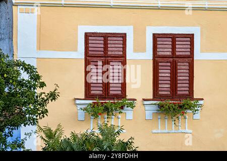 Porte e finestre delle vecchie case sassoni di Viscri Foto Stock