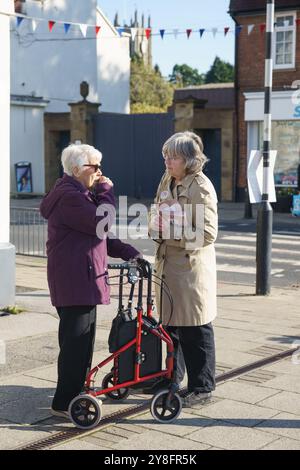 Sabato 5 ottobre. Cottingham (Hull) E. Yorkshire. La North and East Hull Conservative Association, con membri dei giovani conservatori, ha organizzato una Winter Fuel Campaign Action Day a Cottingham Village Green. La campagna nazionale si concentra sulla sensibilizzazione e il sostegno all'indennità di pagamento del carburante invernale, fondamentale per aiutare i pensionati vulnerabili a gestire i costi di riscaldamento nei mesi più freddi. NELLA FOTO: Un attivista parla con una donna anziana con un camminatore. Bridget Catterall / AlamyLiveNews Foto Stock