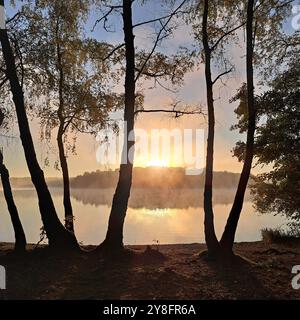 Duisburg, Germania. 5 ottobre 2024. La nebbia mattutina si sposta sull'area ricreativa di Sechs-seen-Platte all'alba. Crediti: Verena Schwienbacher/dpa/Alamy Live News Foto Stock