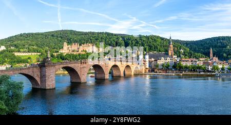 Heidelberg con il castello, il fiume Neckar e il ponte della città vecchia a Heidelberg, Germania Foto Stock