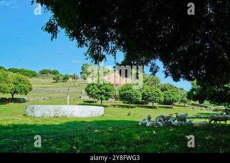 Santuario di San Costantino a Sedilo. Provincia di Oristano, Sardegna, Italia Foto Stock