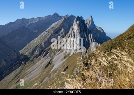 Cresta del monte Schaefler, vista sull'Alpenalptuerme e Saentis nelle alpi svizzere, Alpstein, Appenzello Innerrhoden Svizzera, Svizzera Foto Stock