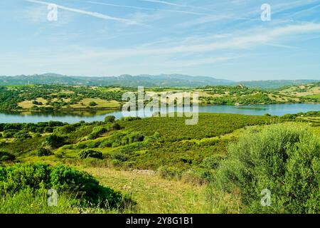 Panorama del Lago liscia nell'entroterra del Supramonte Sardo, provincia di Nuoro, Sardegna, Italia Foto Stock