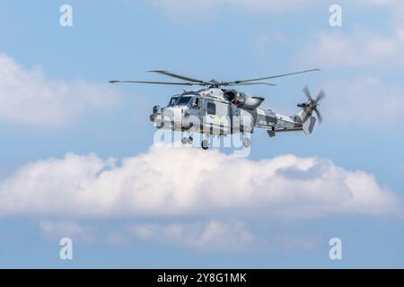 Royal Navy Fleet Air Arm - AgustaWestland AW159 Wildcat, che si esibisce al Royal International Air Tattoo 2024. Foto Stock