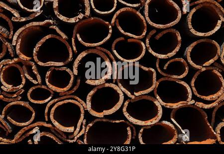 Pila di corteccia di sughero raccolta di recente essiccata al sole. (Sughero non trattato) risorsa naturale e sostenibile. Portogallo, regione dell'Alentejo. Foto Stock