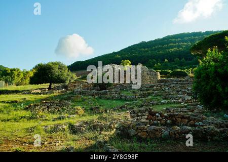 Complesso nuragico di Palmavera, Alghero, Sardegna, Italia Foto Stock