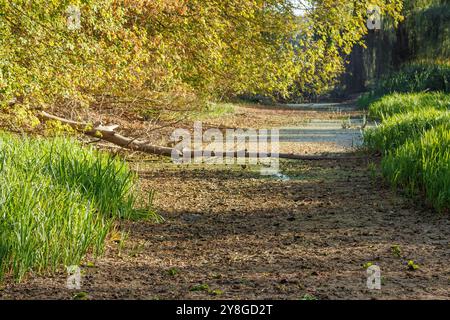 Letto di fiume asciutto, senza acqua. I corpi idrici sono visibili. Un letto di fiume con una corrente debole. Vista sul fiume Romain, che si è prosciugato a causa di un lungo Foto Stock