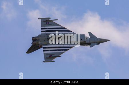 Duxford, Cambridgeshire, Regno Unito. 5 ottobre 2024. Un Eurofighter Typhoon FGR.4 della RAF pilotato dal tenente di volo David "Turbo" Turnbull del 29 Squadron con base a RAF Coningsby nel Lincolnshire mette in mostra un'incredibile esposizione al Flying finale dell'IWM Duxford. Lo schema di verniciatura dei caccia diurni degli aerei dell'era 1944 ricorda un Hawker Typhoon del 257 Squadron. Questo aereo è affettuosamente conosciuto come 'Moggy'. Crediti: Stuart Robertson/Alamy Live News. Foto Stock