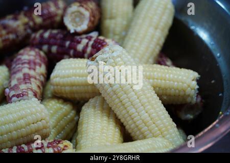 Mais al vapore sulla pannocchia in vendita in un mercato coreano Foto Stock