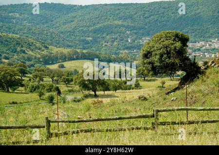 Paesaggio nuragico nella regione di Goceano, provincia di Sassari, Sardegna, Italia Foto Stock