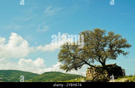 Paesaggio nuragico nella regione di Goceano, provincia di Sassari, Sardegna, Italia Foto Stock