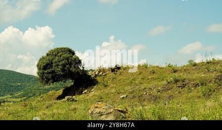 Paesaggio nuragico nella regione di Goceano, provincia di Sassari, Sardegna, Italia Foto Stock