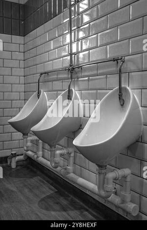 Urinali da uomo in un toliet pubblico. Ottobre 2024. Galles. Immagine monocromatica. Foto Stock