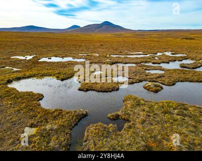 Vista aerea dal drone del paesaggio della torbiera presso RSPB Forsinard nel Flow Country, sito patrimonio dell'umanità per le torbiere nelle Highlands scozzesi, Scozia, Foto Stock