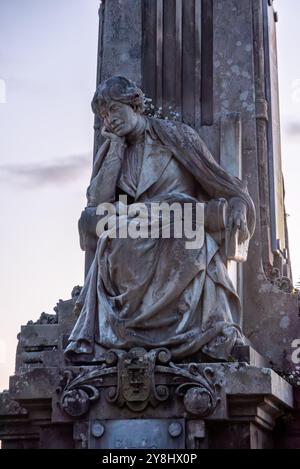 Statua della famosa scrittrice e poetessa galiziana Rosalia de Castro nel parco Alameda a Santiago de Compostela, Spagna Foto Stock