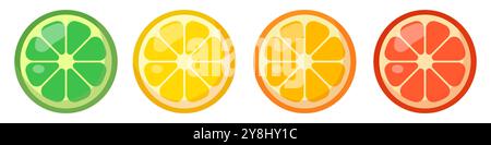 Set di fette di agrumi. Illustrazione vettoriale. Illustrazione Vettoriale