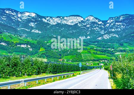 Paesaggio nel nord Italia, alto Adige, montagne e meleti Foto Stock