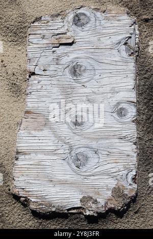 Un pezzo di legno intemprato adagiato su una spiaggia. Foto Stock