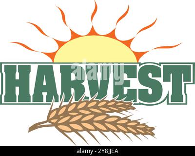 Vendemmia - scritta disegnata a mano Harvest Festival con grano. Frase autunnale su sfondo bianco per il tuo design. Illustrazione Vettoriale