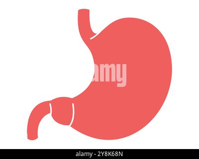 Stomaco digestivo organo umano versione colorata anatomia scienza biologia apprendimento formazione progettazione Illustrazione Vettoriale