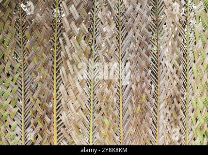 Parete ecocompatibile intrecciata con foglie di cocco. Sfondo di natura astratta. Foto Stock