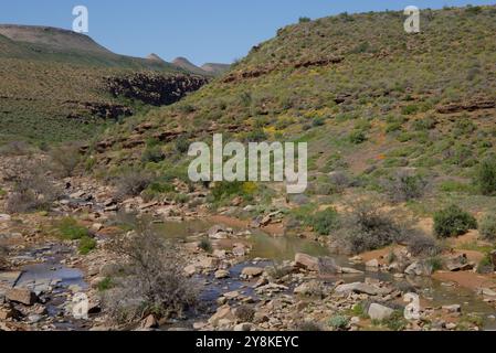 Doring River vicino al passo Botterkloof vicino a Clanwilliam, Namaqualand come parte del sistema fluviale Olifants/Doring. Foto Stock