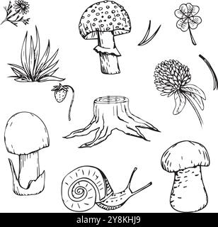 Set di elementi forestali disegnati a mano. Funghi, trifoglio, ceppo. Illustrazione Vettoriale