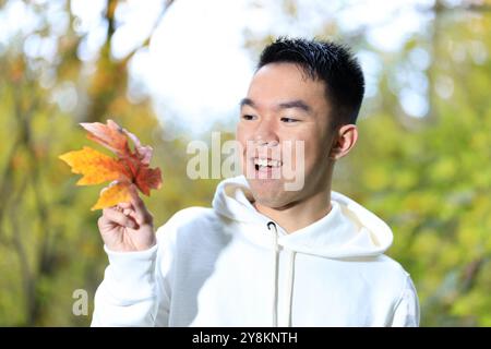 Un giovane uomo sta tenendo in mano un grande e colorato acero autunnale in un parco forestale all'aperto e lo sta esaminando Foto Stock