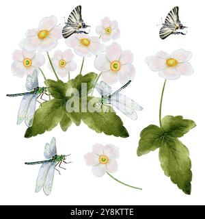 Funghi porcini e russola. Illustrazione acquerello su sfondo bianco. stampa tipografica, tessuti Foto Stock