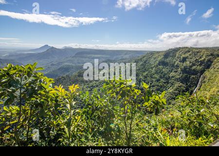 Punto panoramico affacciato sulla giungla. Vegetazione tropicale, al punto panoramico delle Gole, al Parco Nazionale delle Gole del fiume Nero, Mauritius Foto Stock