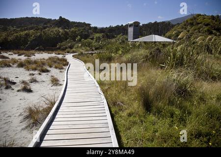Passerella in legno Nuova Zelanda Isola del Sud Costa Ovest Foto Stock