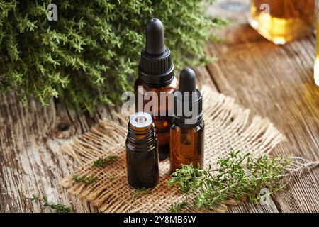 Olio essenziale di timo in tre bottiglie di vetro scuro Foto Stock