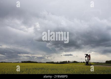 Olio e Gas pompa Jack paesaggio prateria in Saskatchewan in Canada Foto Stock