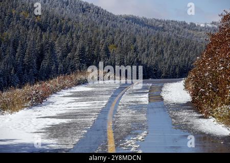 Cypress Hills prima nevicata Alberta Saskatchewan Canada Foto Stock