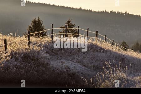 Cypress Hills prima nevicata Alberta Saskatchewan Canada Foto Stock