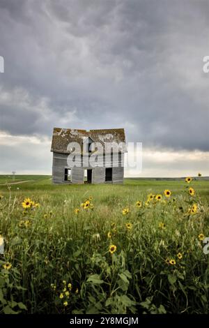 Prairie nuvole temporalesche Canada Saskatchewan drammatica estate Foto Stock