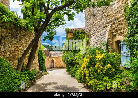 Affascinante strada nel pittoresco villaggio di Menerbes con edifici colorati e fiori vivaci. Villaggio di Menerbes (il più bel villaggio in Francia) nel Foto Stock